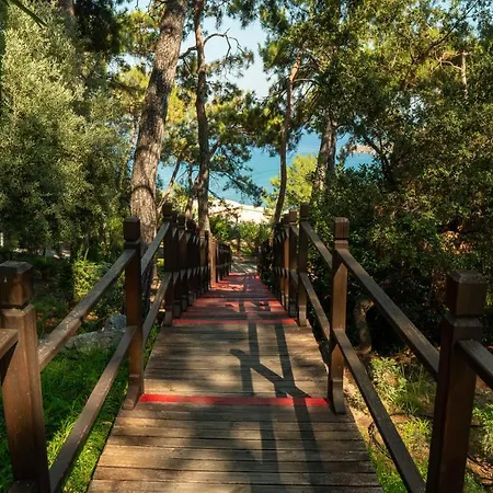 Tui Blue Seno - Adults Only 4* Sarigerme