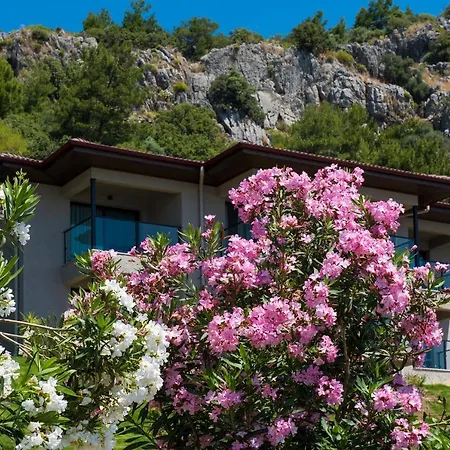 度假村 Tui Blue Seno - Adults Only 4*