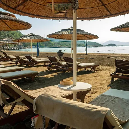 Tui Blue Seno - Adults Only 리조트 4*