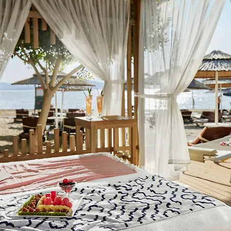 Tui Blue Seno - Adults Only 4*