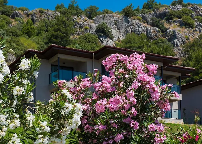 Ośrodek wypoczynkowy Tui Blue Seno - Adults Only 4*