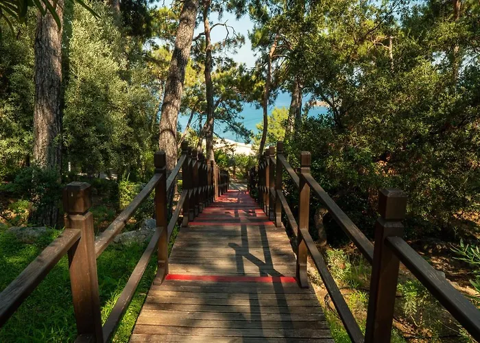 Tui Blue Seno - Adults Only 4* Sarıgerme