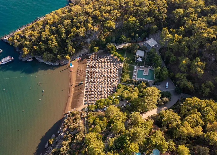 Tui Blue Seno - Adults Only Ośrodek wypoczynkowy Sarıgerme
